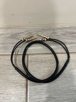 Basics Banana Plug 16AWG Speaker Cable Wire, CL2 Rated with Gold-Plated Banana-Tip Plugs (4mm), 99.9% Oxygen-Free Stranded Copper Wire, 3 foot, Black