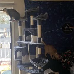 Cat Tree