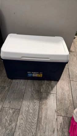 igloo cooler  48 qt with protective metal bottom