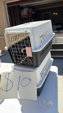 Dog house