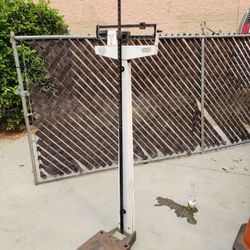 Doctors scale