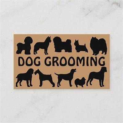 In Home Dog Grooming Table