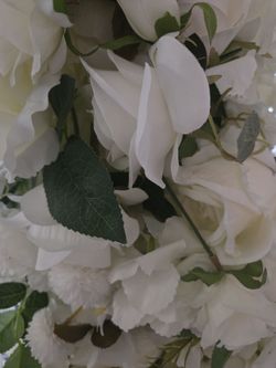 Wedding and party