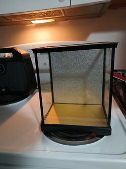Vintage Japanese Glass Display Case