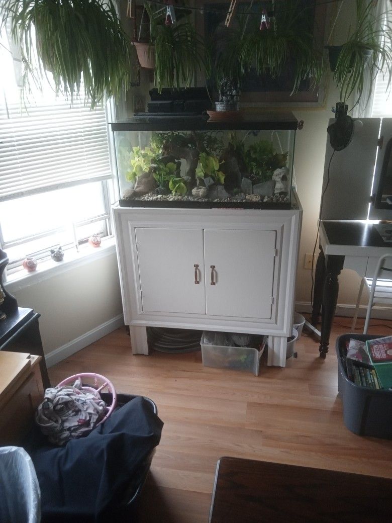 90 Gallon Fish Tank Everything You Need For A Tank And More
