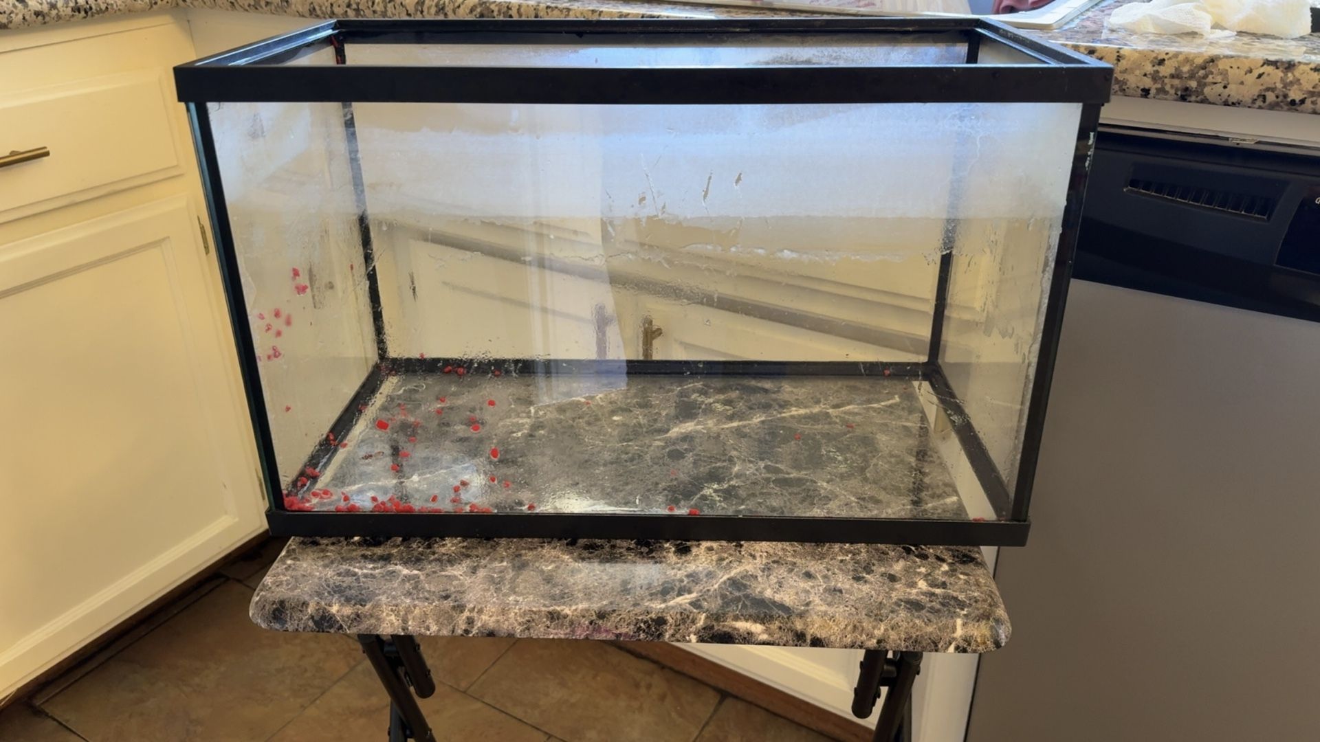 10 Gallon Fish Tank