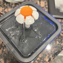 Like new- Pet Drinking Fountain