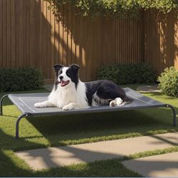 Dog Elevated Canvas Bed
