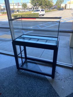 40 gallon tank