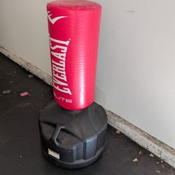Punching Bag 