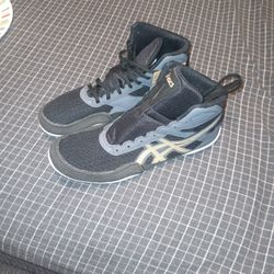 Wrestling Shoes 