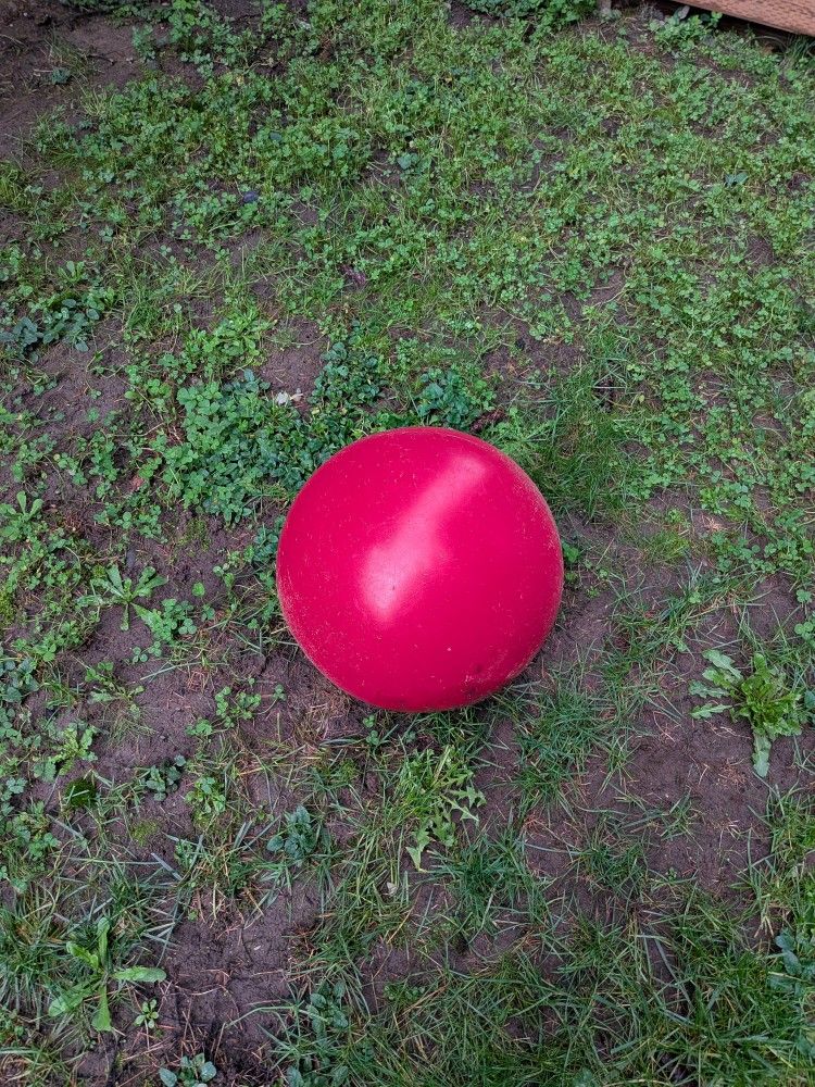 Free Herding Ball For Dog Training