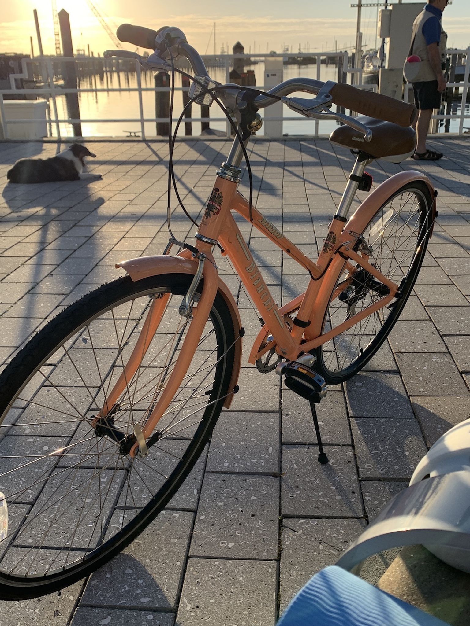 Bike Milano Bianchi Women's