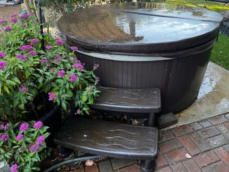 Aqua Terra Spa - (Costco) jet(s) leak