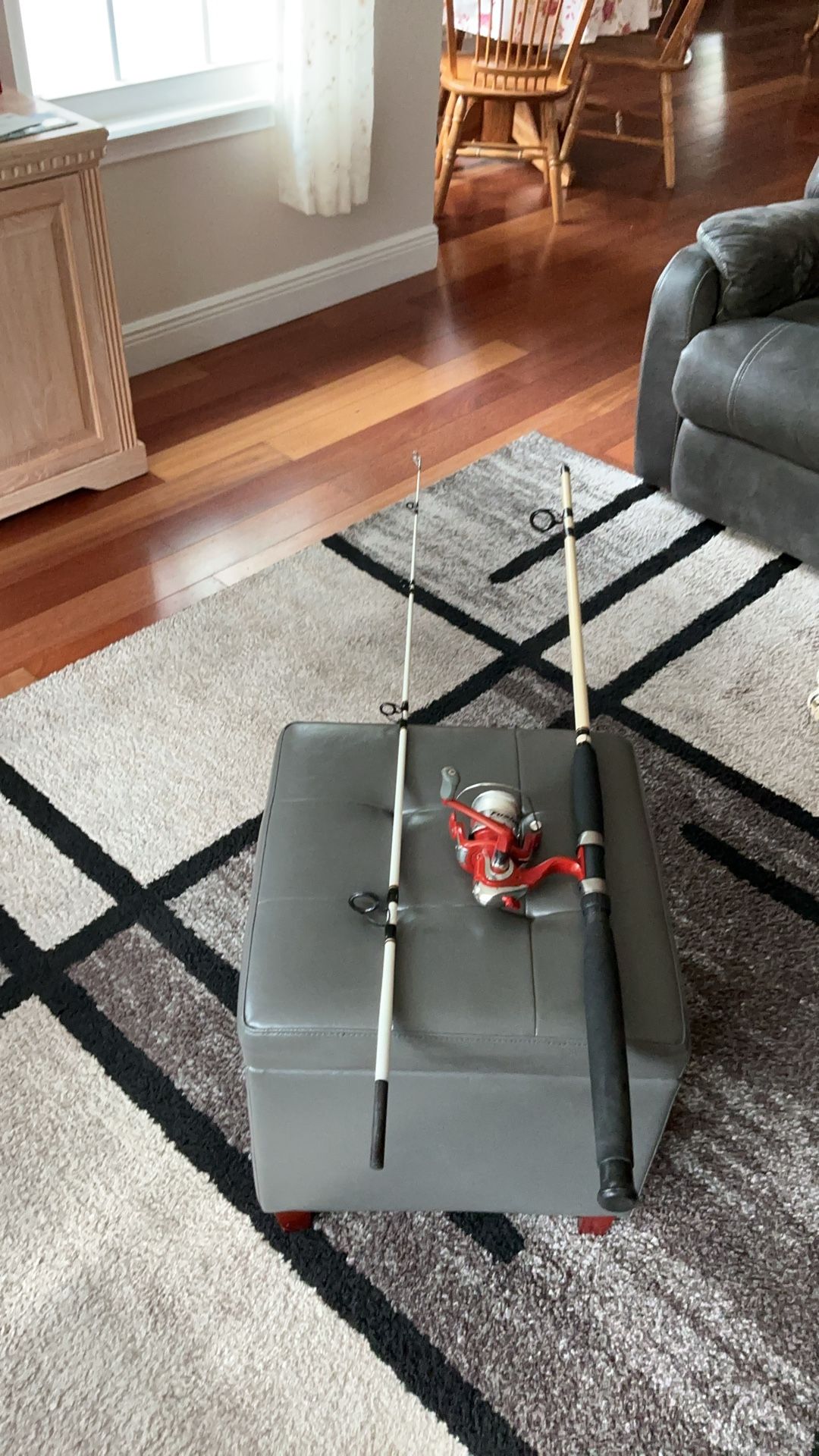 8 ft. Berkeley Big Game Rod,and Berkeley Fusion Reel.