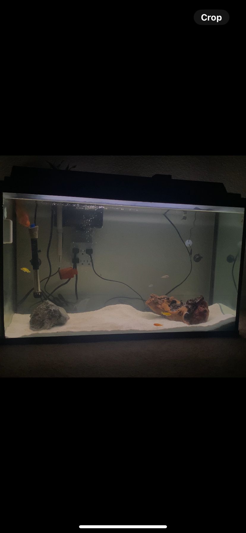 29 Gallon Fish Tank 