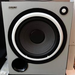 10” Sony subwoofer