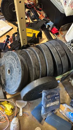 Rogue mil spec echo bumper plates