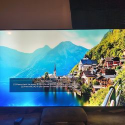 LG 55in TV 