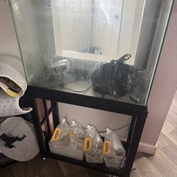 Fish Tank & Stand