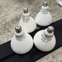 BR40 LED Light Bulbs for Can Lights