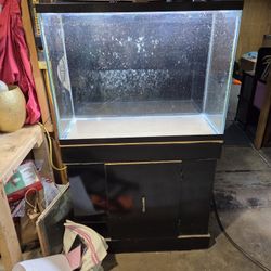 35 Gallon