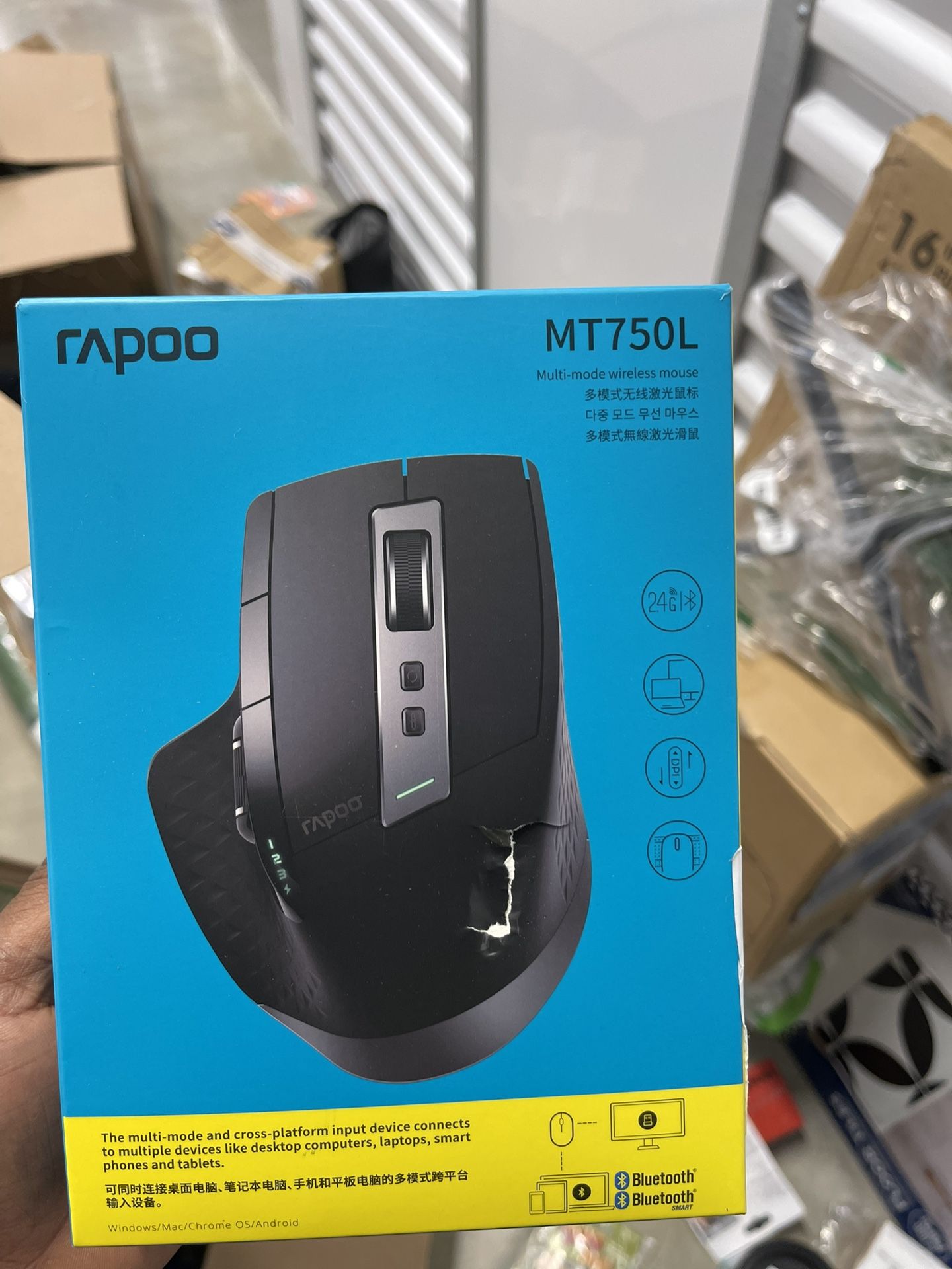 Mouse