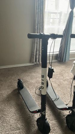 Bird ES4-800 Electric Scooter-Dual Battery- 28 mile Range-800 Watt Motor