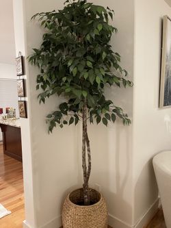 HomeGoods fake tree