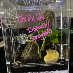 8x8x12x Bio Active Set To Go 🌱 LIVE PLANTS 🌱 