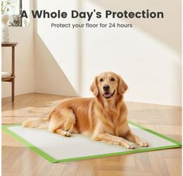 Pet Dog Pee Pads, XXL 28"x37", All Edge-Wrapped, ECO Thick Pad