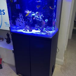 46 Gallon Saltwater Fish Tank With Everything Included