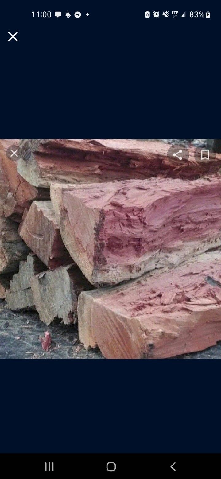 Eucalyptus Firewood