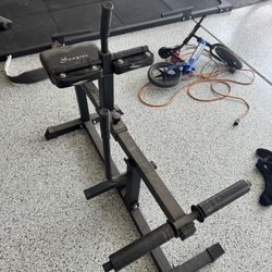Plate Loaded Calf Raise (Standard Or Olympic)