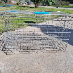 Pet Carrier 