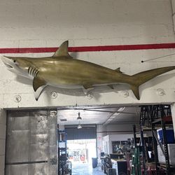 Fiberglass Hammerhead Shark