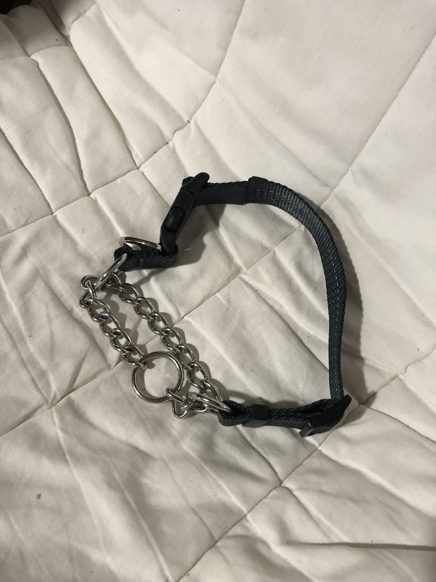 Dog Collar