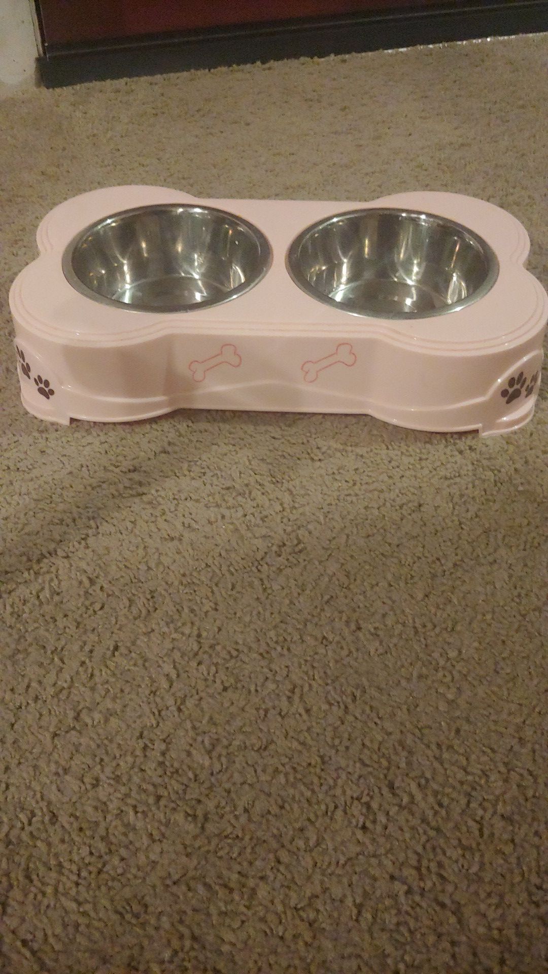 Cat or dog bowl