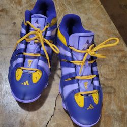 Adidas Crazy 8 Low ‘HBCU Pack - Alcorn State University’ Purple Gold – Men's Size 10.5 (New No Box)