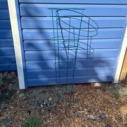 Tomato Cage (2)