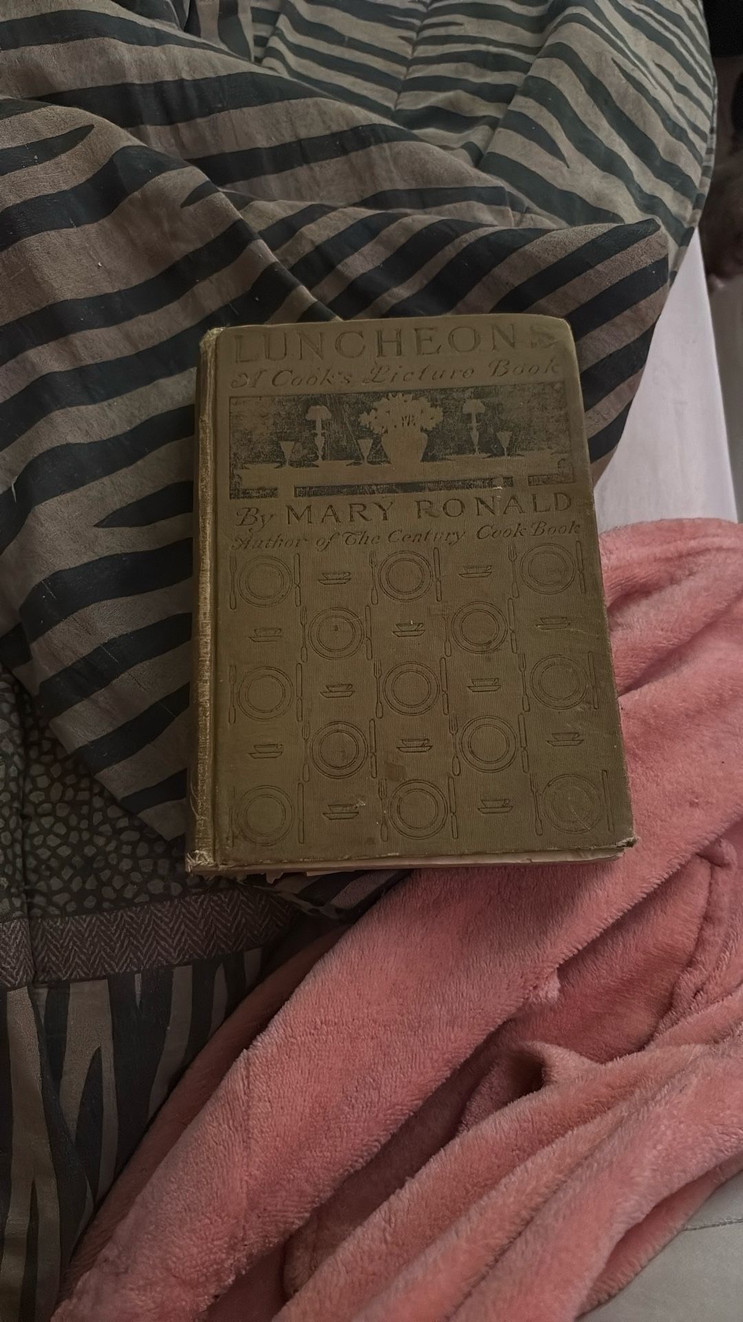 Vintage Kitchen Recipe Cookbook Cook Book 1906 Luncheons A Cooks Picture Book