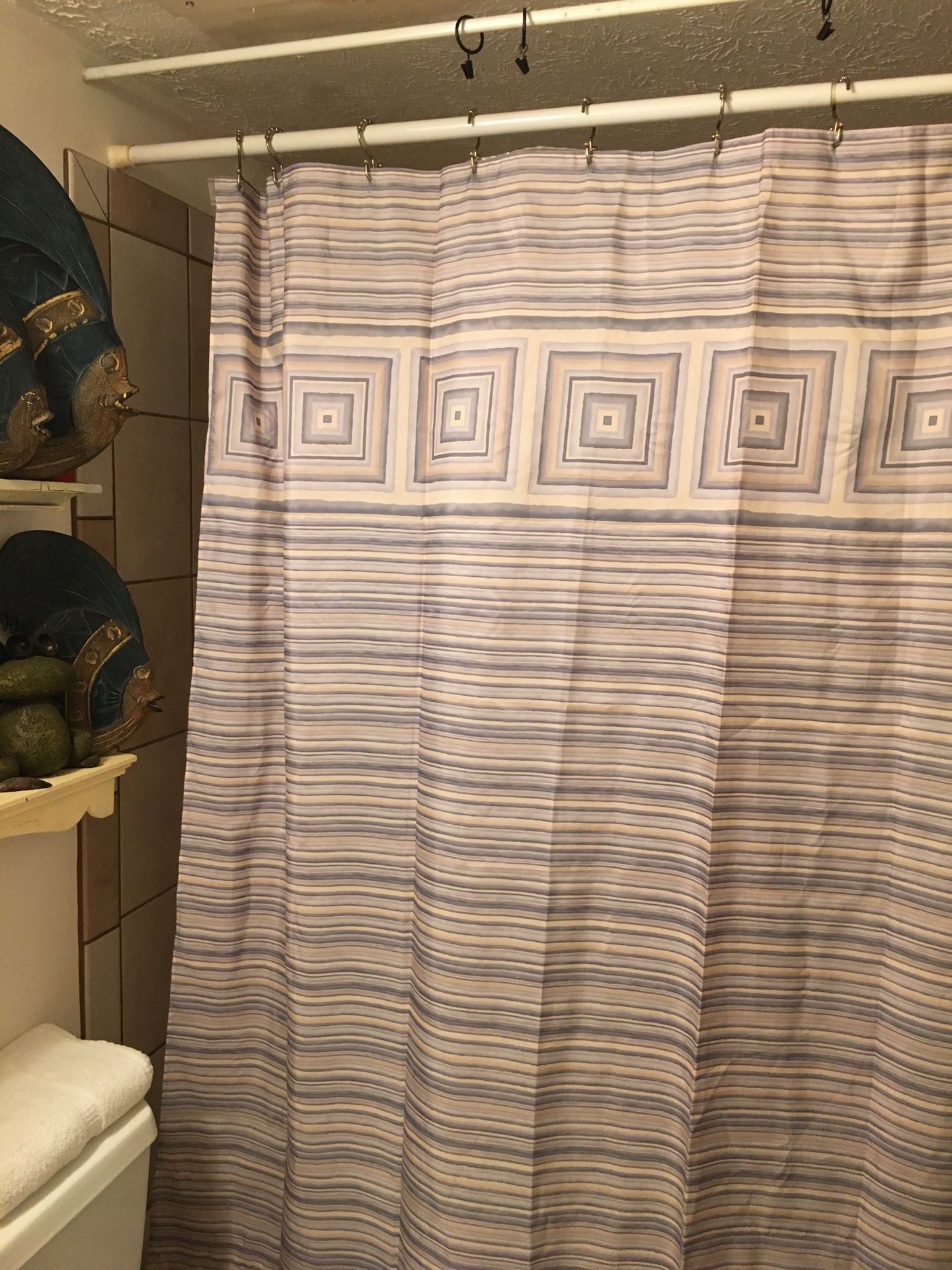 Home Goods/ Shower Curtain