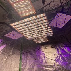 Vivosun Grow text with LEDs & More