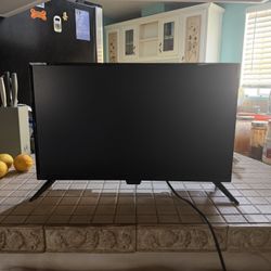 Insignia  TV/Monitor