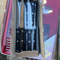 24 Pcs Steak Knife 