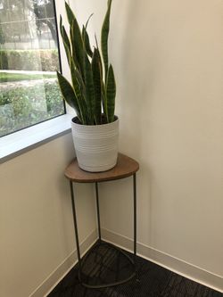 Stand