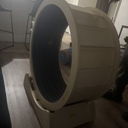Cat Wheel 