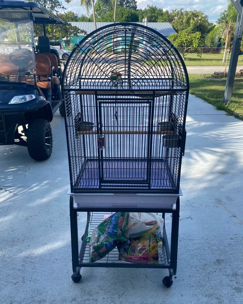 parrot small bird cage!