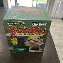 Reptile Feeding Bowl