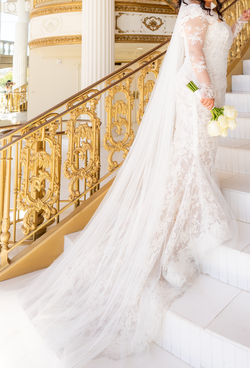 Cathedral length veil